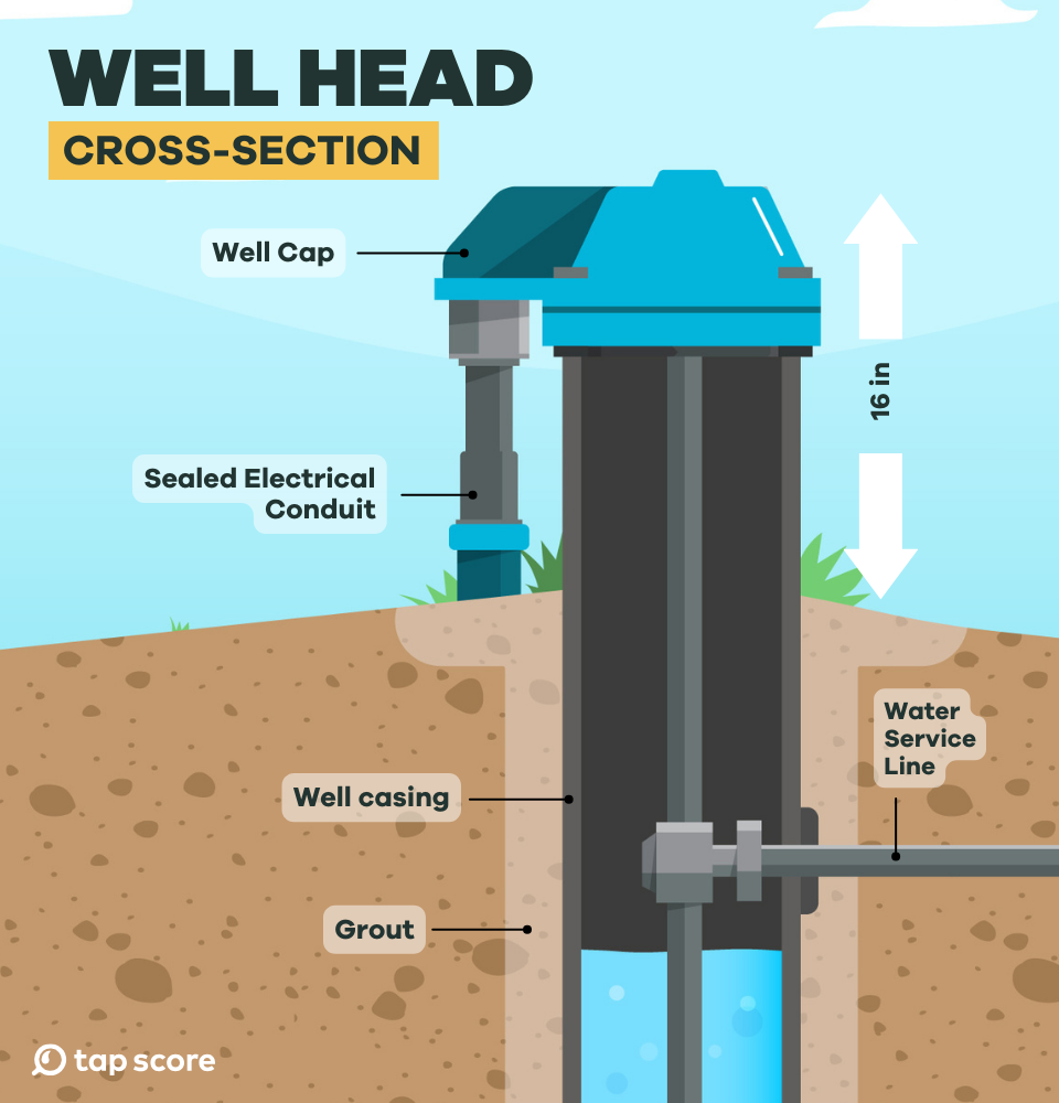 Cross-section diagram of a well head, detailing components such as the well cap, sealed electrical conduit, well casing, grout, and water service line.