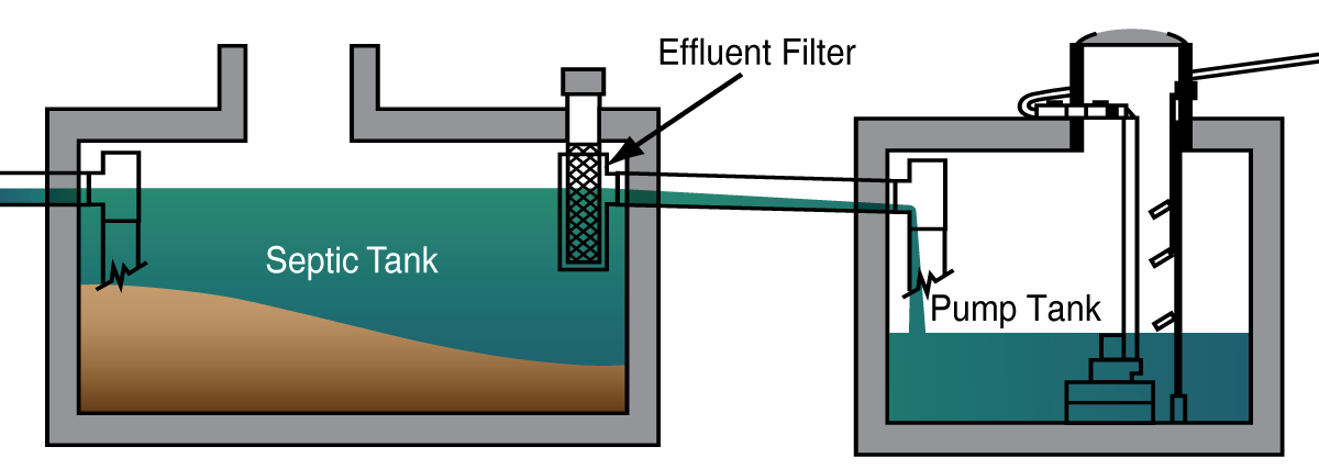Diagram showing the internal structure of a septic system, including a septic tank with an effluent filter and a connected pump tank.