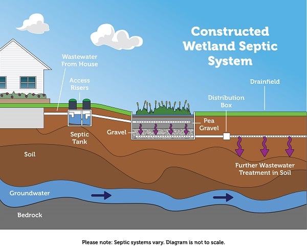 Diagram depicting a constructed wetland septic system showing the flow of wastewater from a house through a septic tank, gravel bed, wetland treatment area, distribution box, and drainfield leading to further wastewater treatment in soil, with labels for each component.
