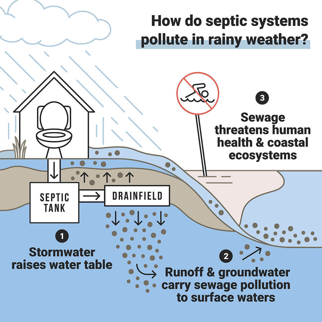 Diagram showing how septic systems pollute in rainy weather: stormwater raises the water table, causing runoff and groundwater to carry sewage pollution to surface waters, which threatens human health and coastal ecosystems.