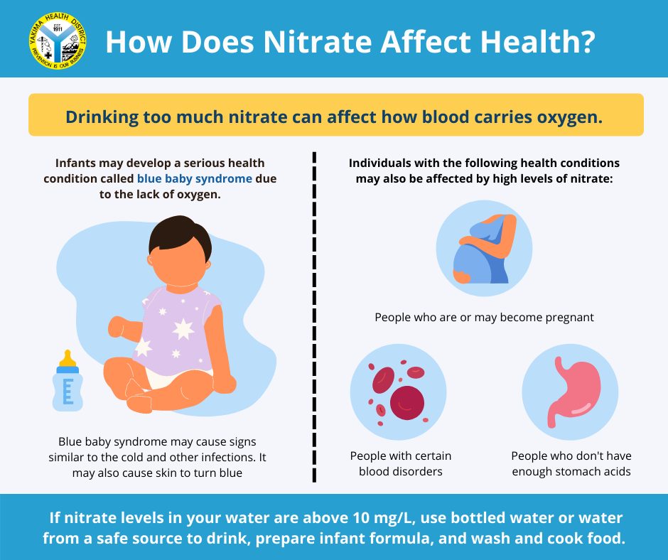 Infographic explaining how nitrate affects health